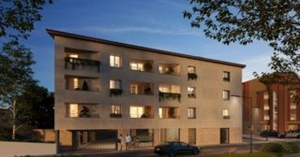 Albi (81)