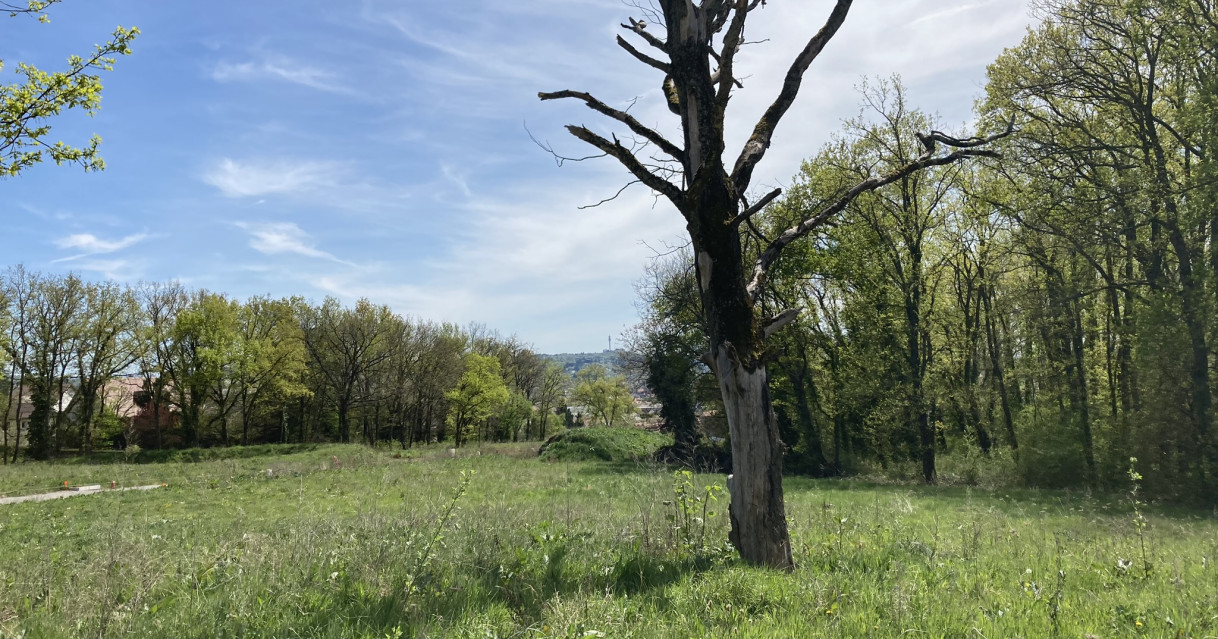 Creuzier-le-Vieux (03)