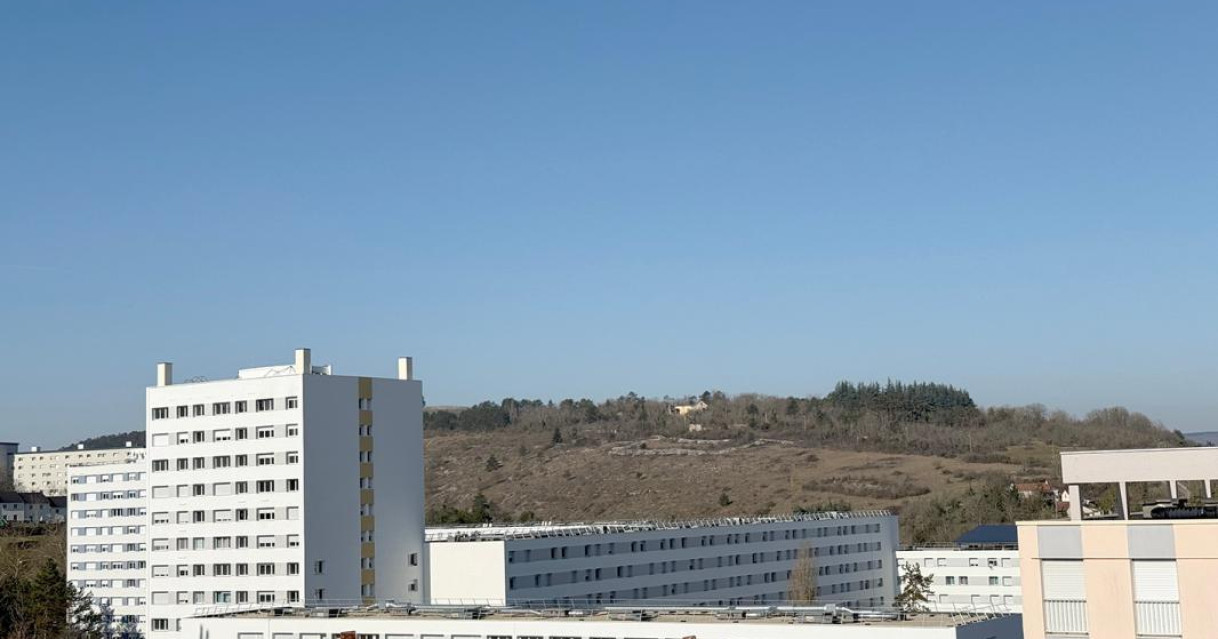 Dijon (21)