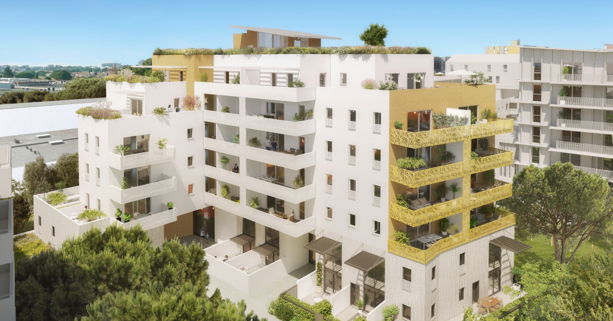 Montpellier (34)