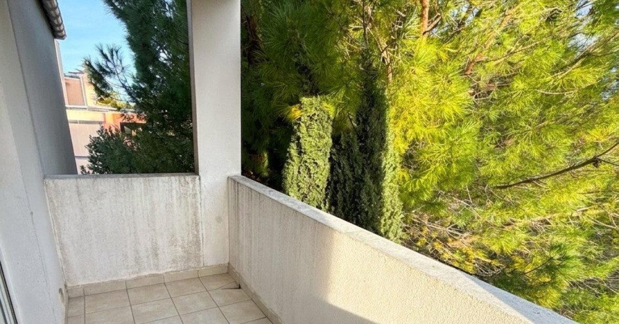 Montpellier (34)