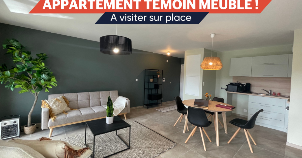 Mulhouse (68)
