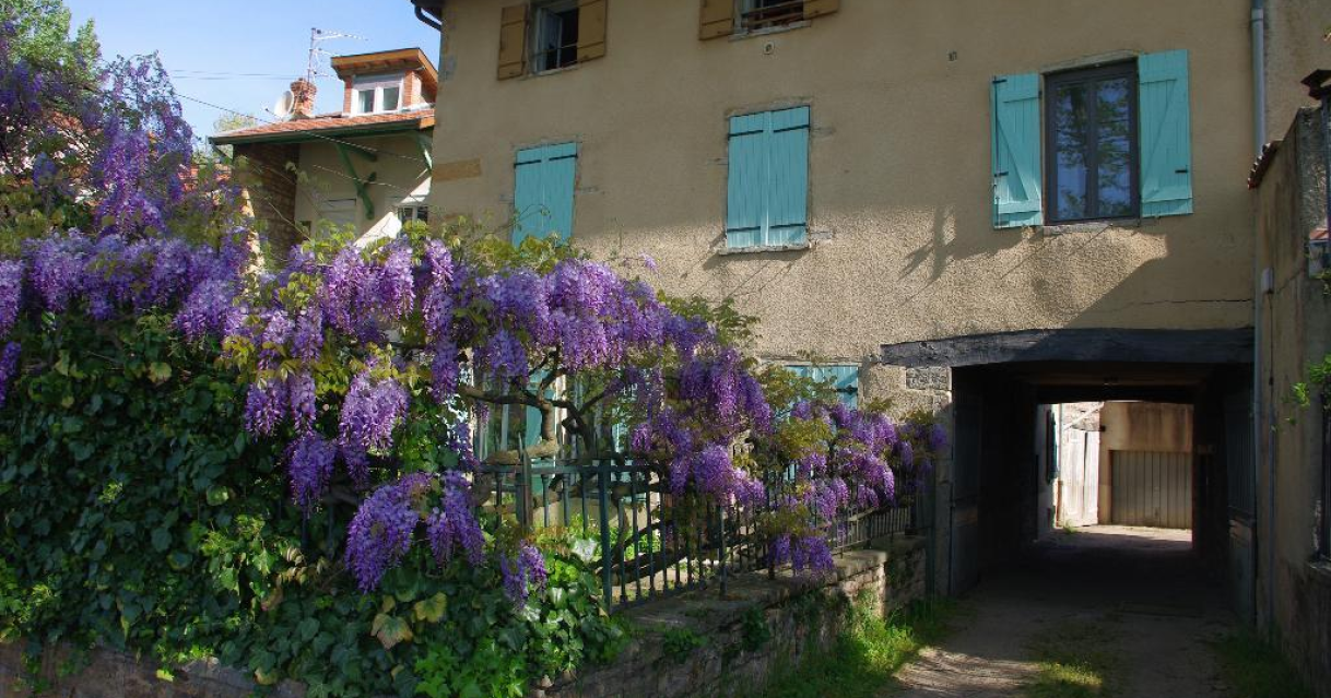Neuville-sur-Saône (69)