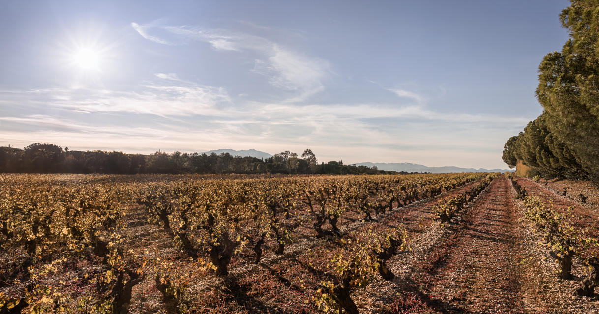 Perpignan (66)