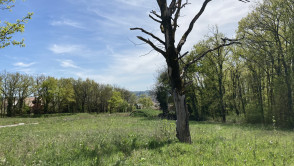 Creuzier-le-Vieux (03)