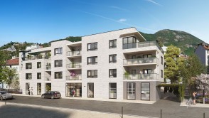 Grenoble (38)