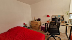 Lille (59)
