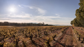Perpignan (66)