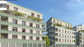 Saint-Denis (93)