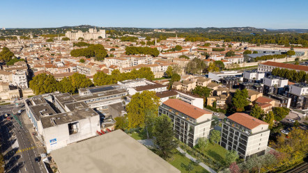 Avignon (84)