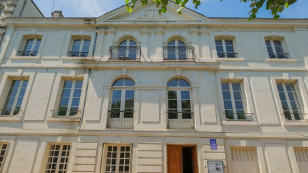 Chinon (37)