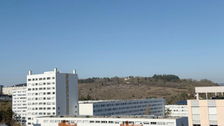 Dijon (21)