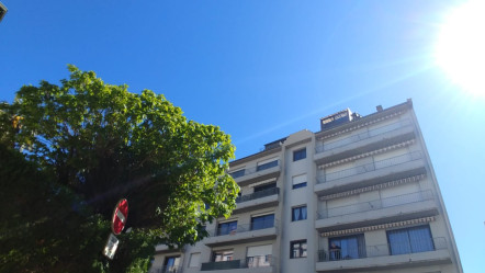 Lourdes (65)