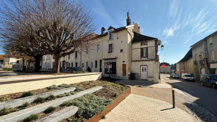 Mirebeau-sur-Bèze (21)