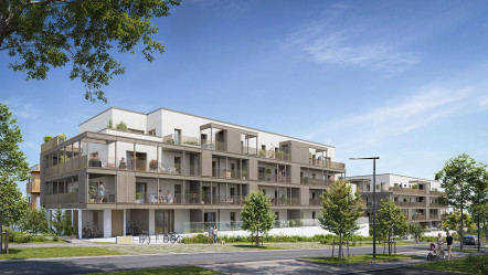 Vezin-le-Coquet (35)